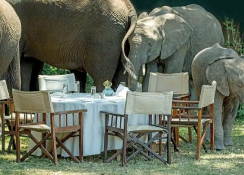 6-Day All-inclusive Safari in Kenya